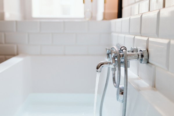 健康チェックの様子